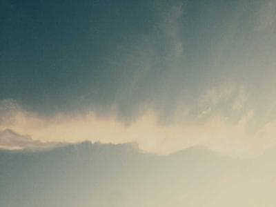 The Aquarium of the Pacific